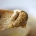 Fast and Easy Hummus